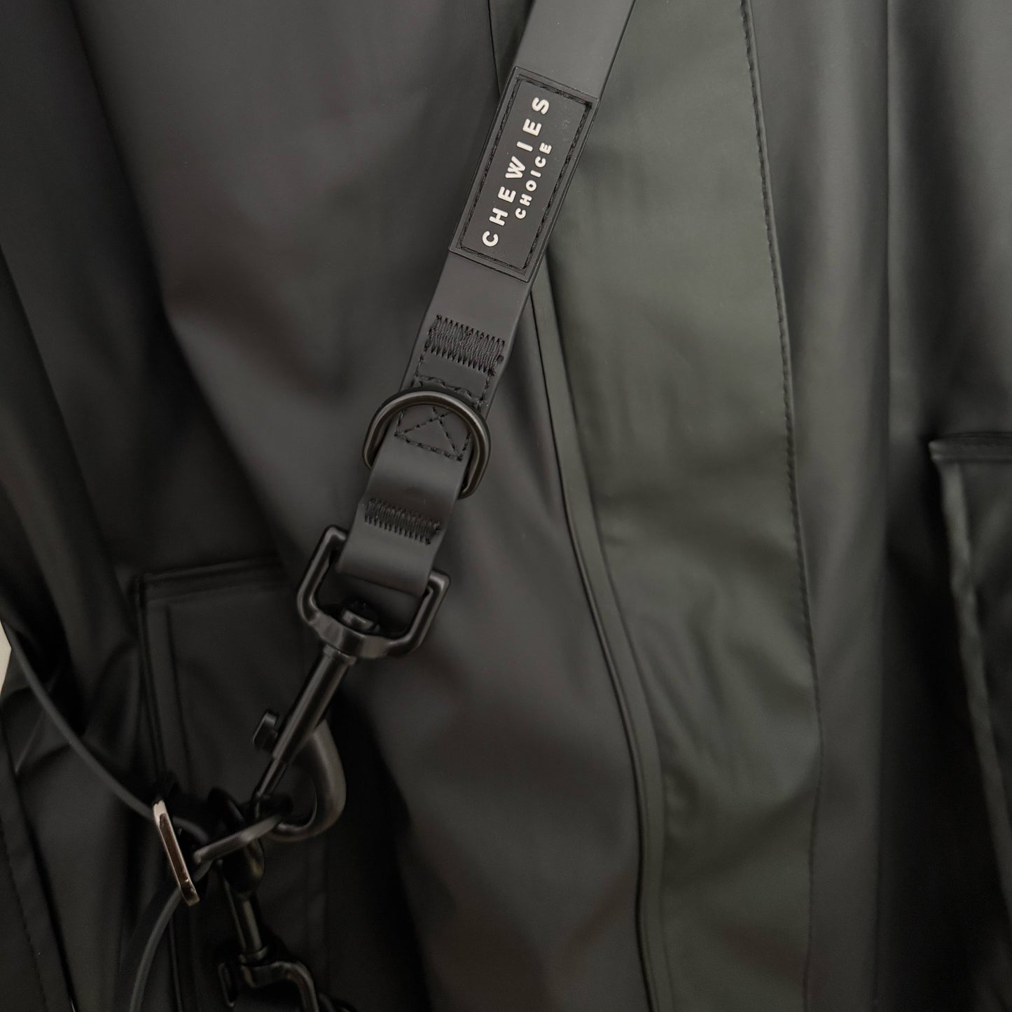 Hands-free Dog Leash Cruise Control