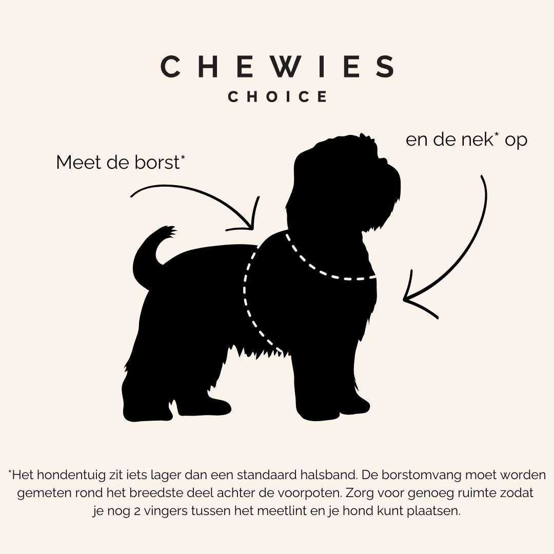 hoe meet je je hond op voor een tuigje