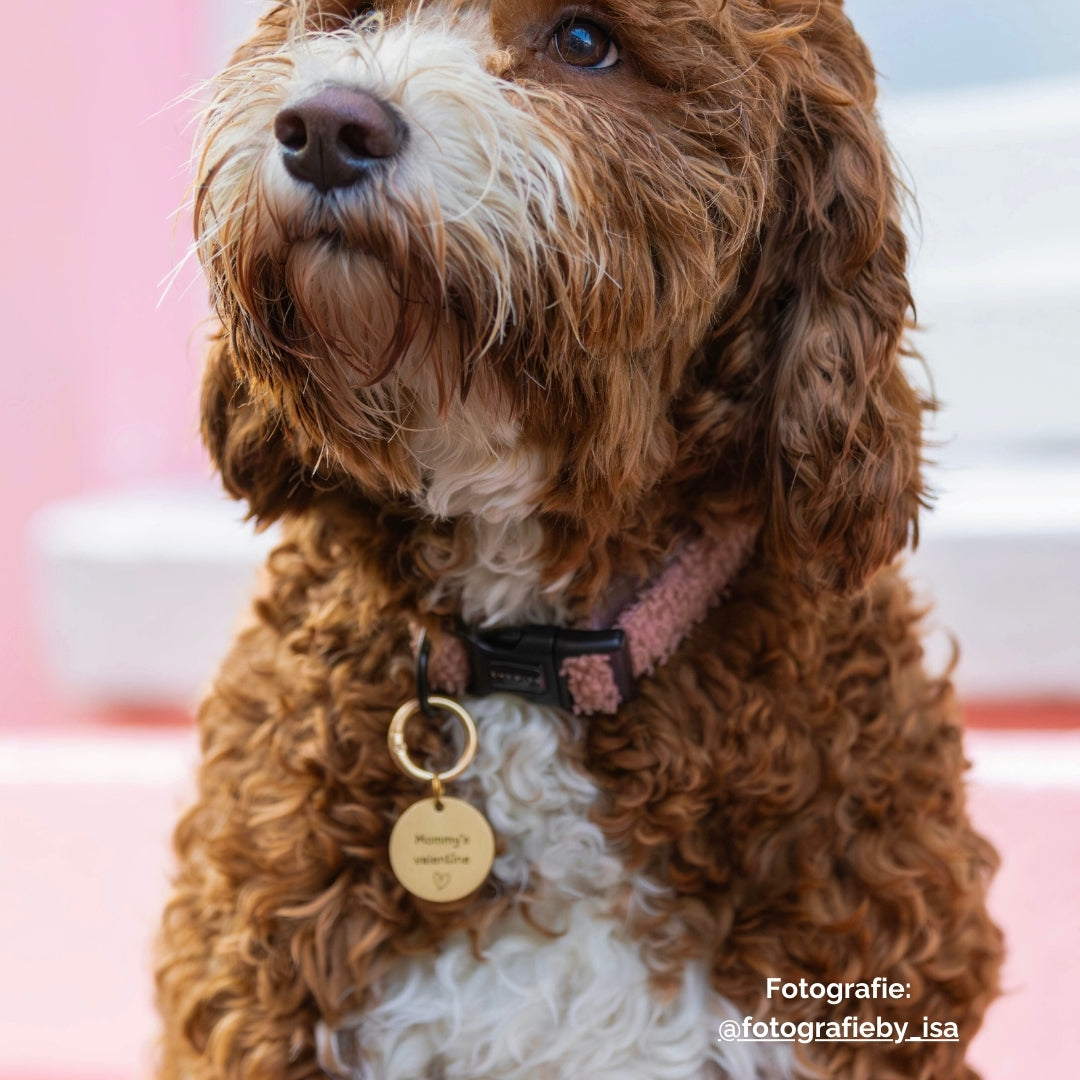 Collar - Cosy Rosy