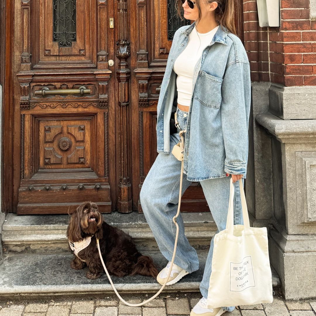 handsfree hondenriem in beige met gouden details