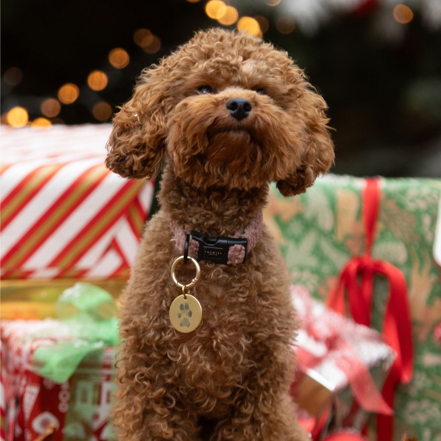 Inktloze Pootafdruk Pad