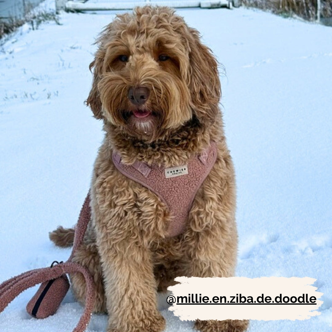 Wandelset - Cosy Rosy