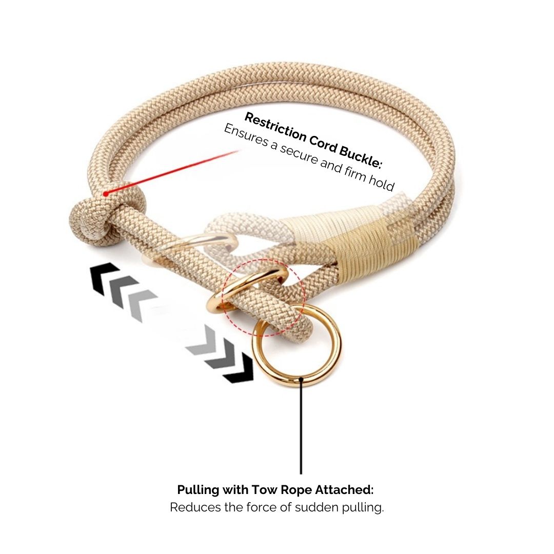 PREORDER Wandelset: Handsfree Riem + Halsband (VERWACHTE LEVERTIJD: +/- 2-3 WEKEN)