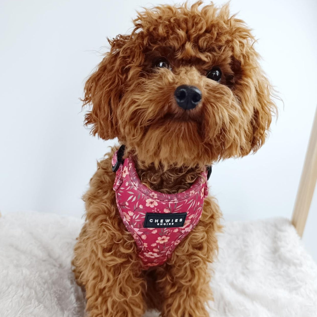 Wandelset XL - FlowerPup