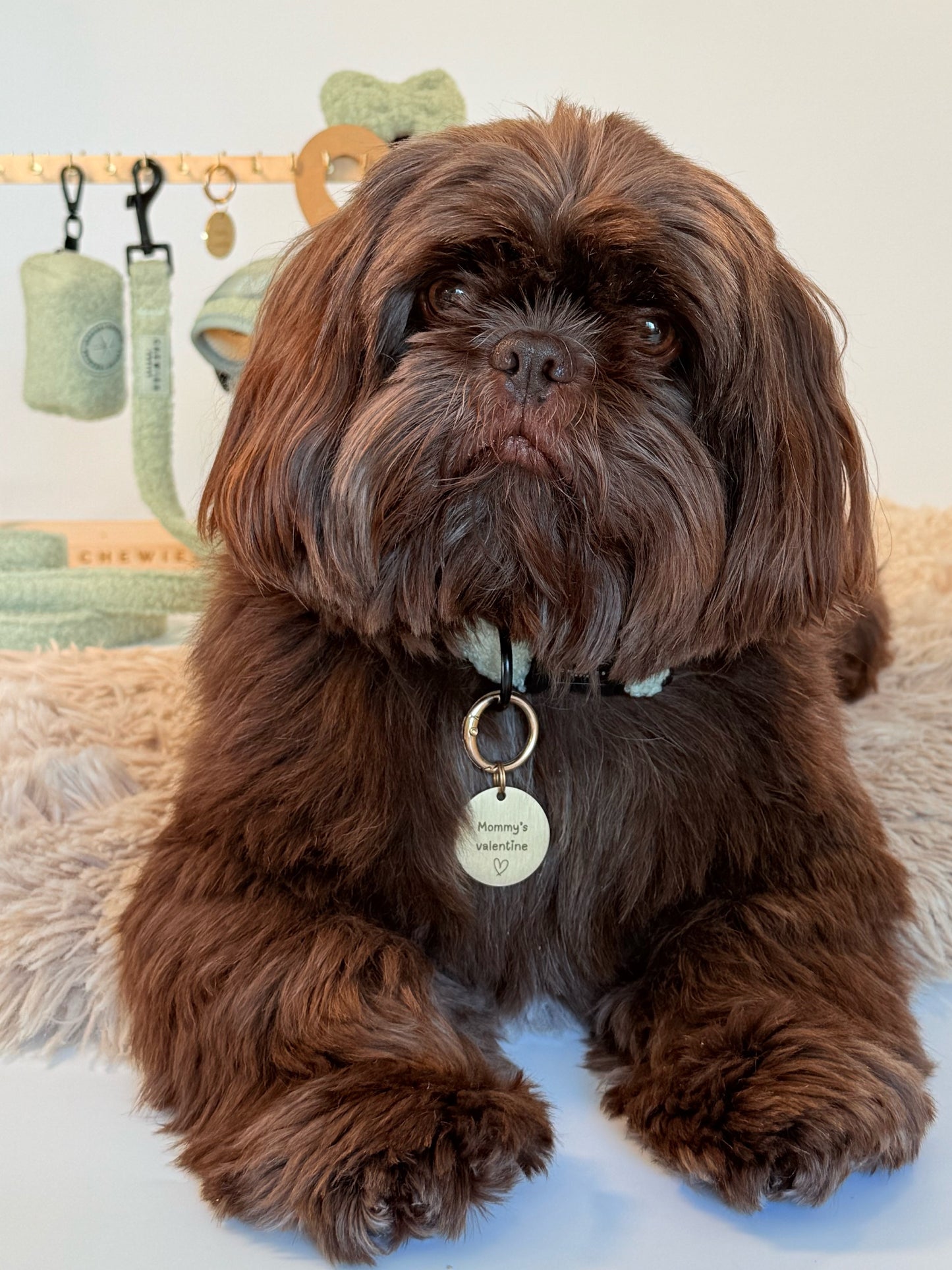 Hondenpenning Valentijn