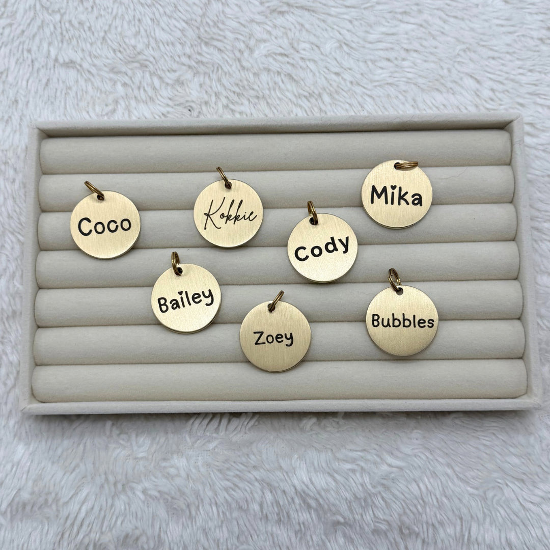 Hondenpenning - Naam