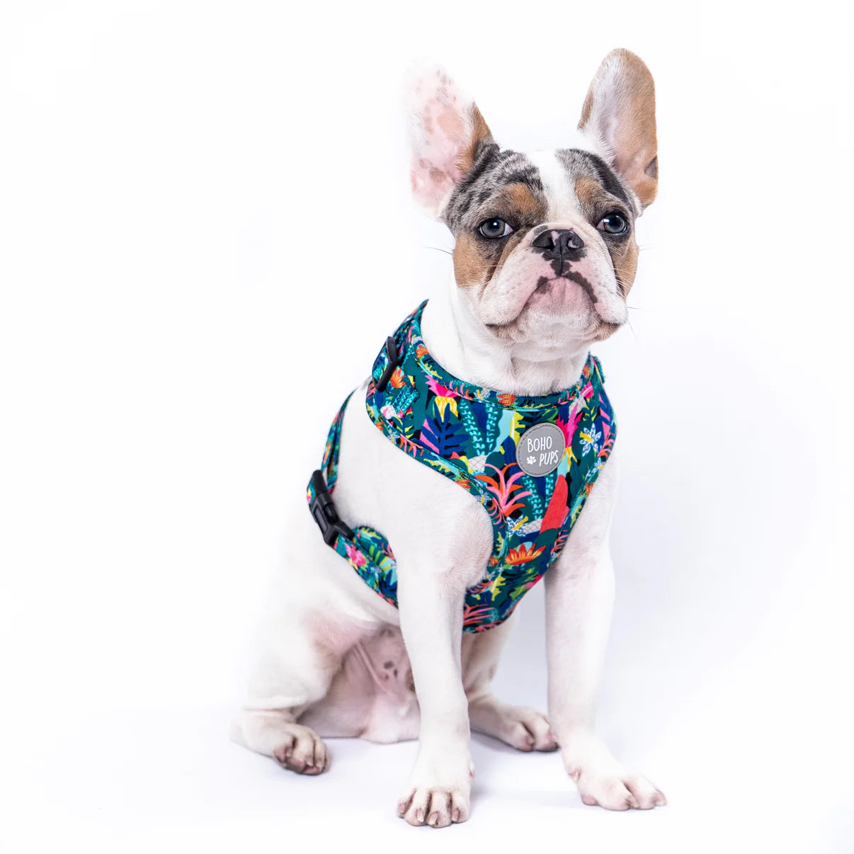 Walkie Set: Harness, Leash & Poop Bag Holder - Jungle Babe