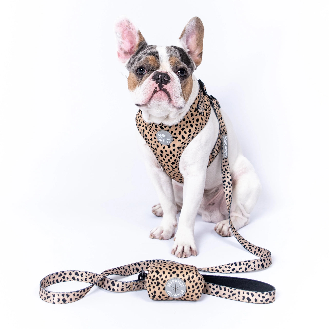 Walkie Set: Harness, Leash & Poop Bag Holder - Wild Thing