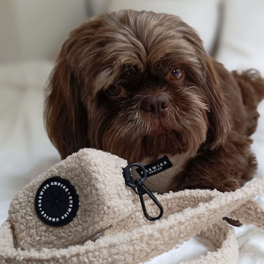 Poop bag holder - Teddy Bear