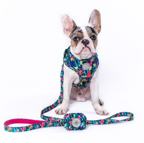 Walkie Set: Harness, Leash & Poop Bag Holder - Jungle Babe