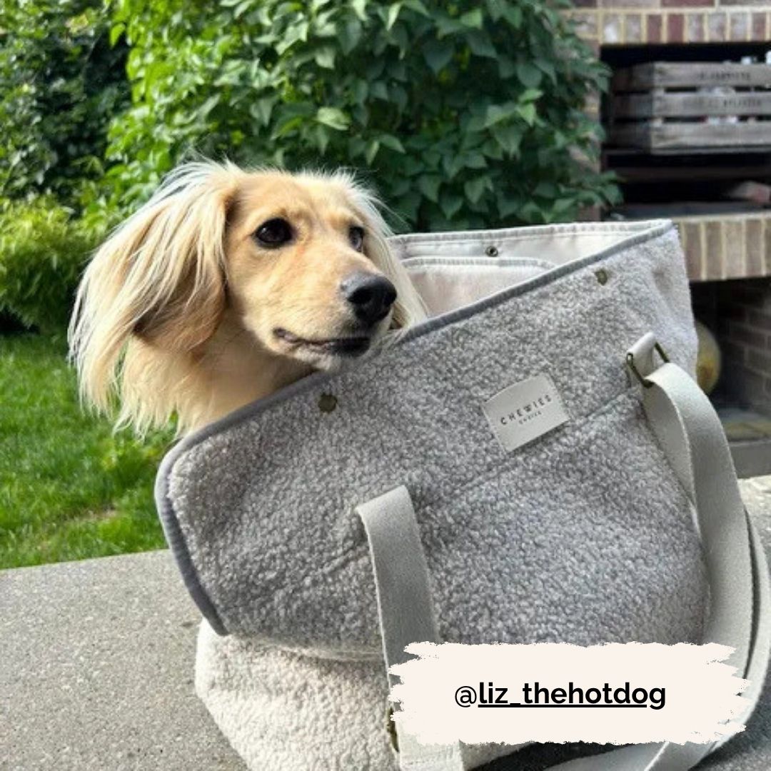 Dog Carrier - Cuddly Cloud