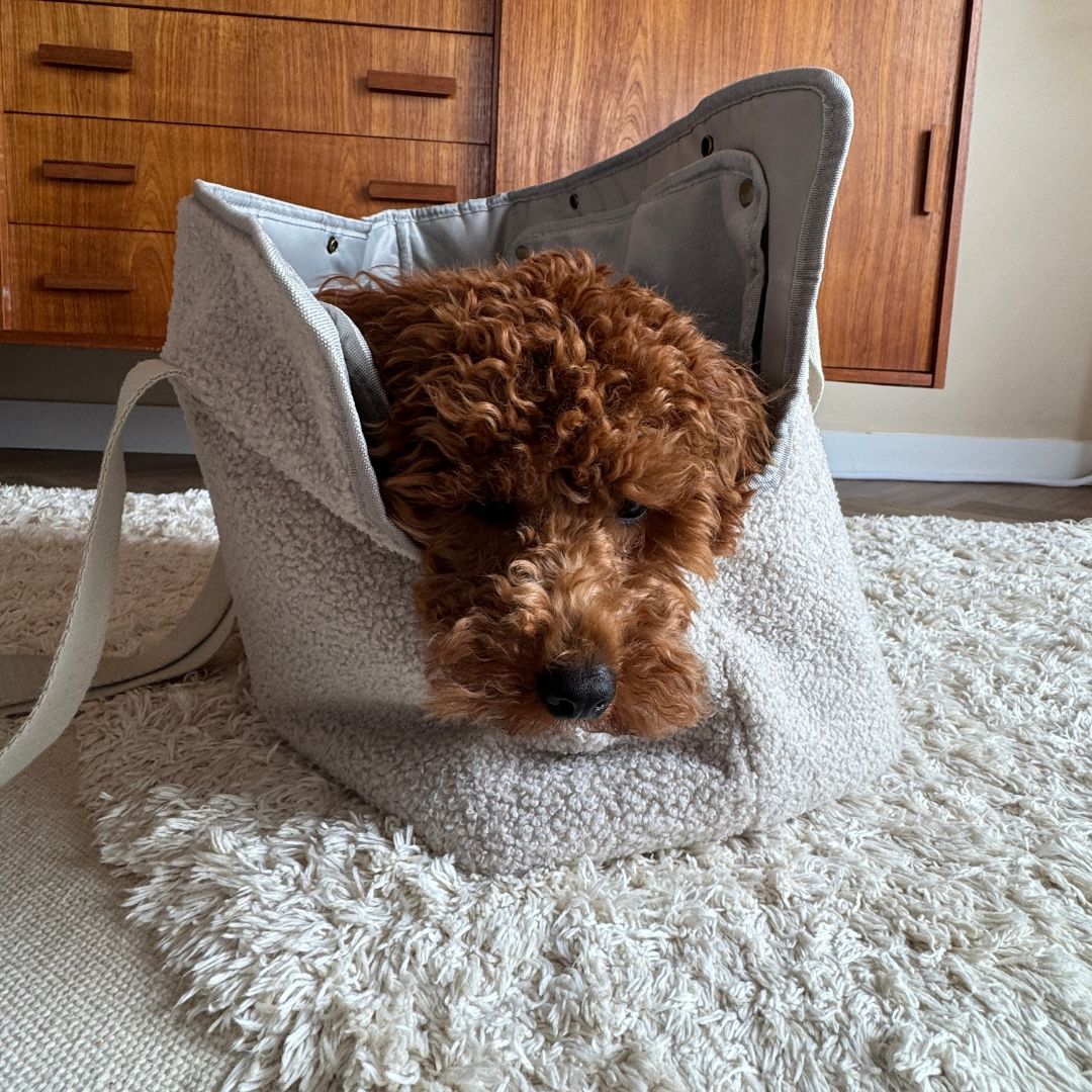 Draagtas Hond - Cuddly Cloud