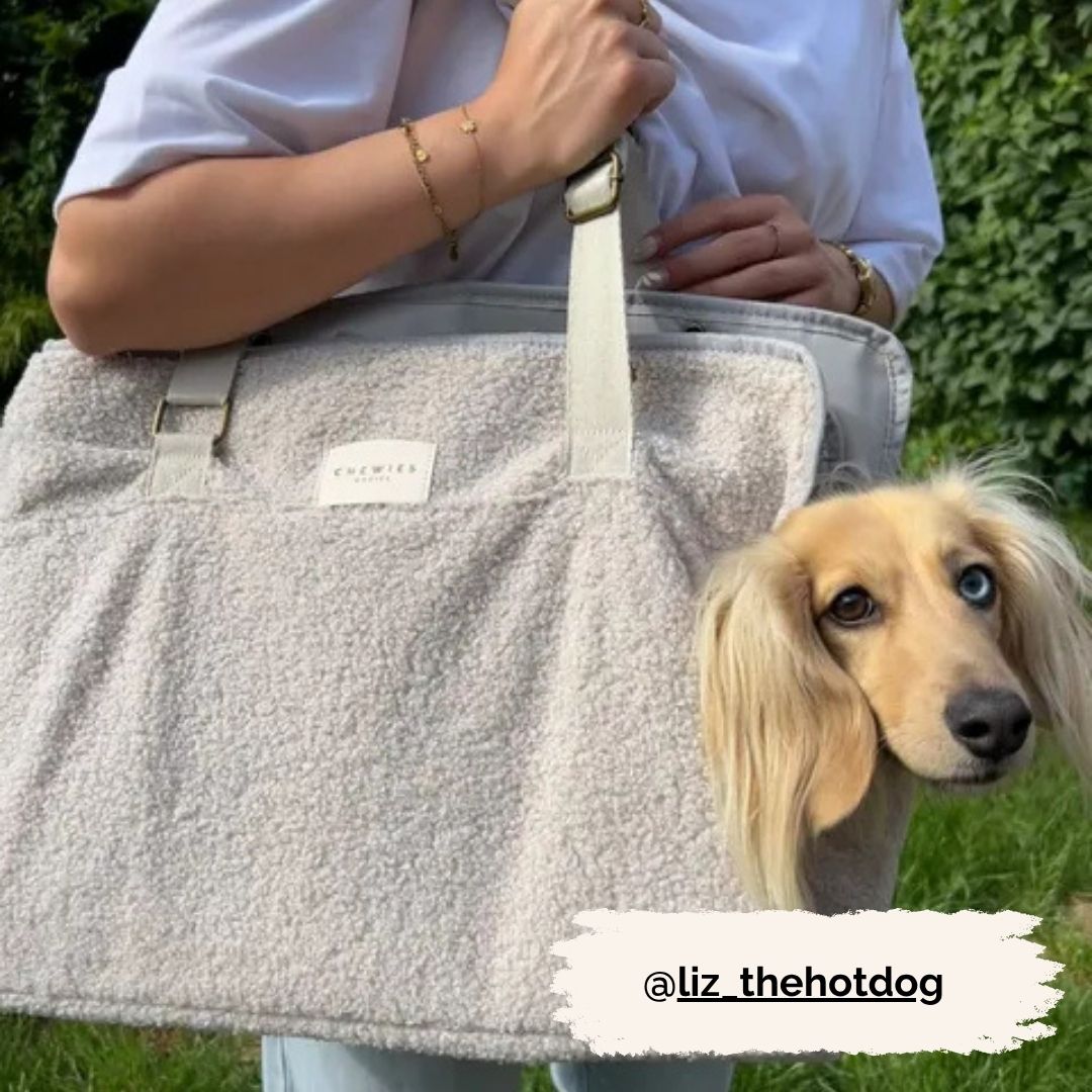 Dog Carrier - Cuddly Cloud