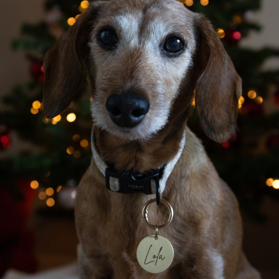 Halsband - Savanna Stroll