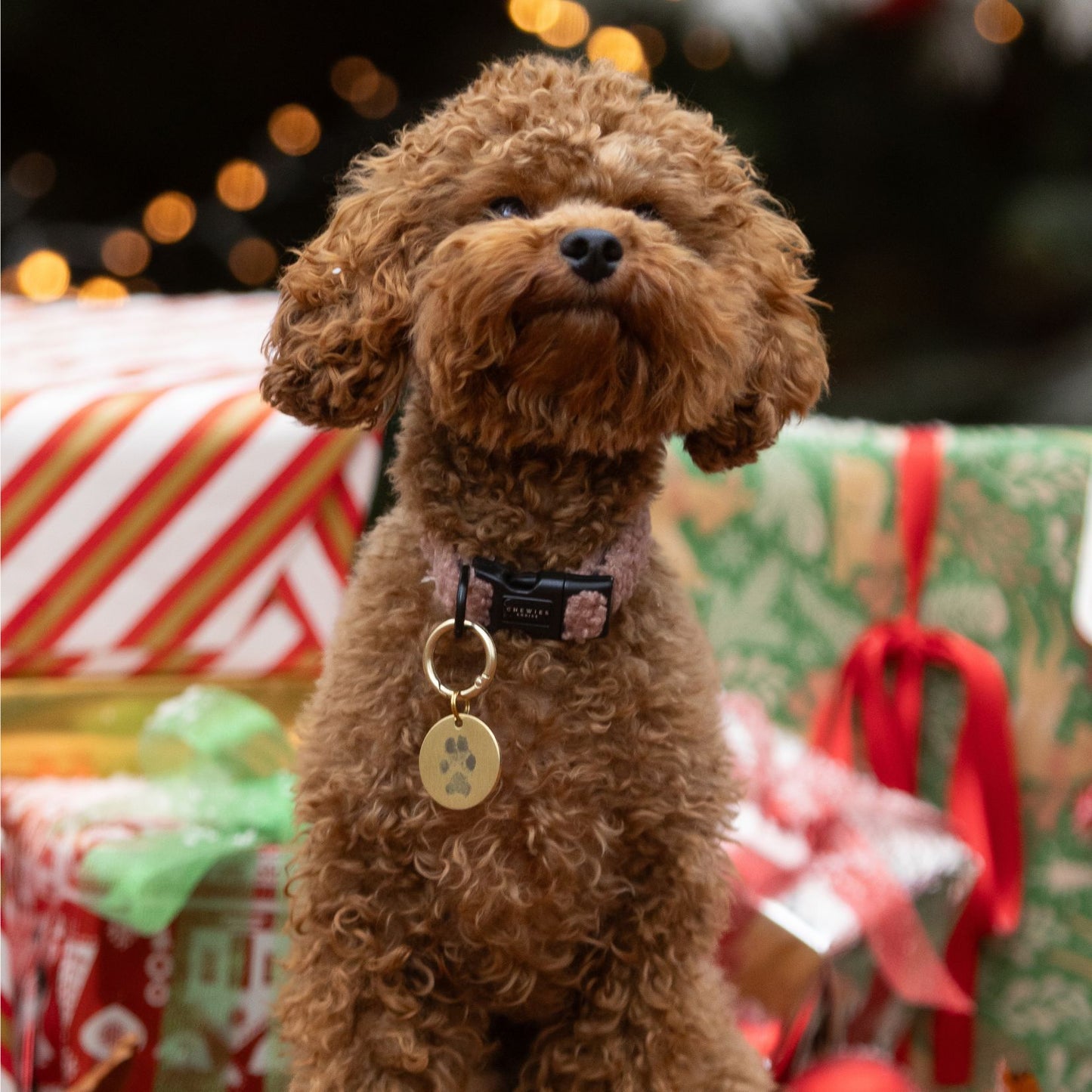 Halsband - Cosy Rosy