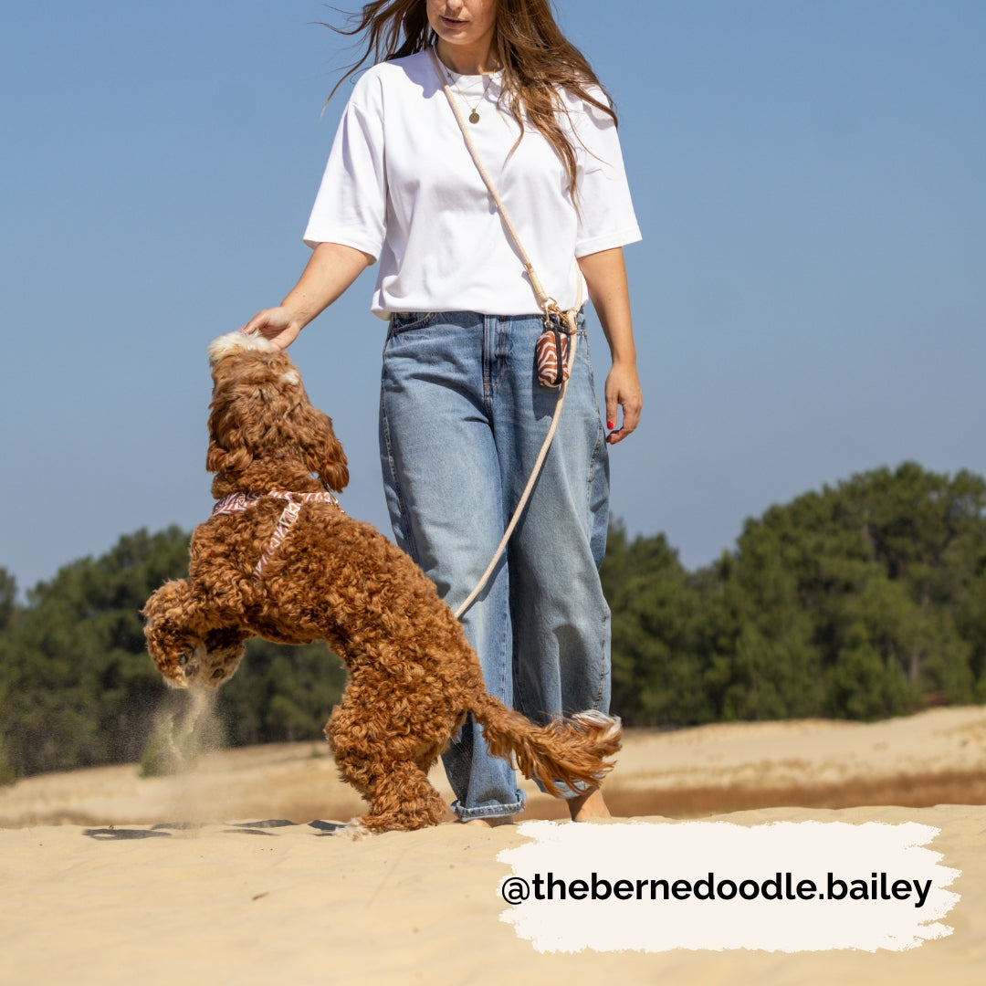 Handsfree Leash 5 in 1 - Golden Meadow