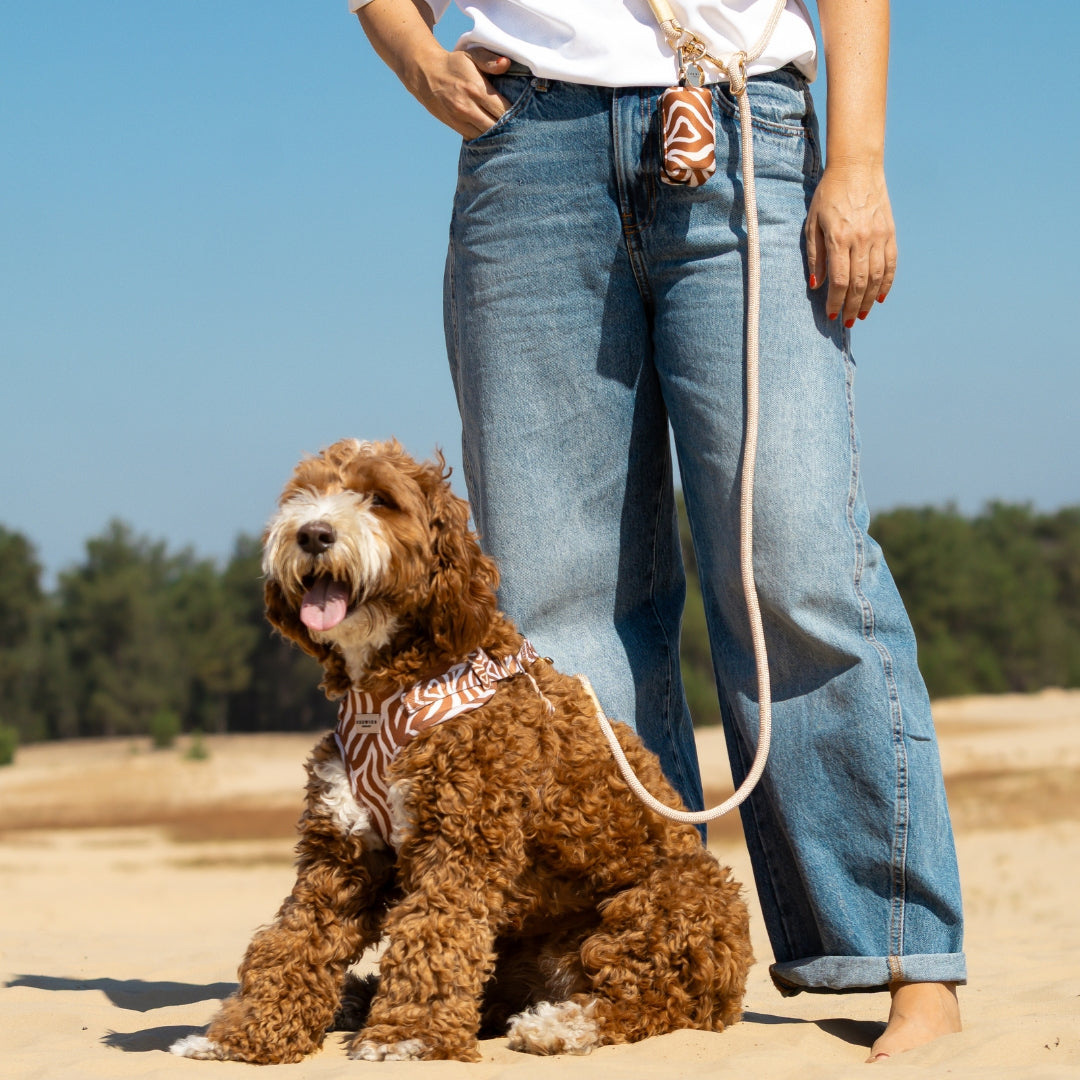 Handsfree Leash 5 in 1 - Golden Meadow