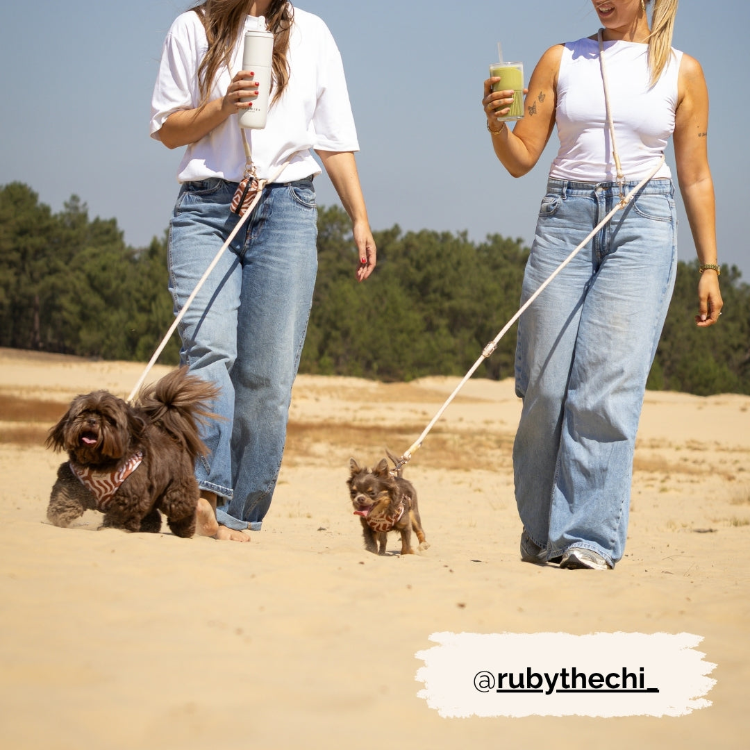Handsfree Leash 5 in 1 - Golden Meadow