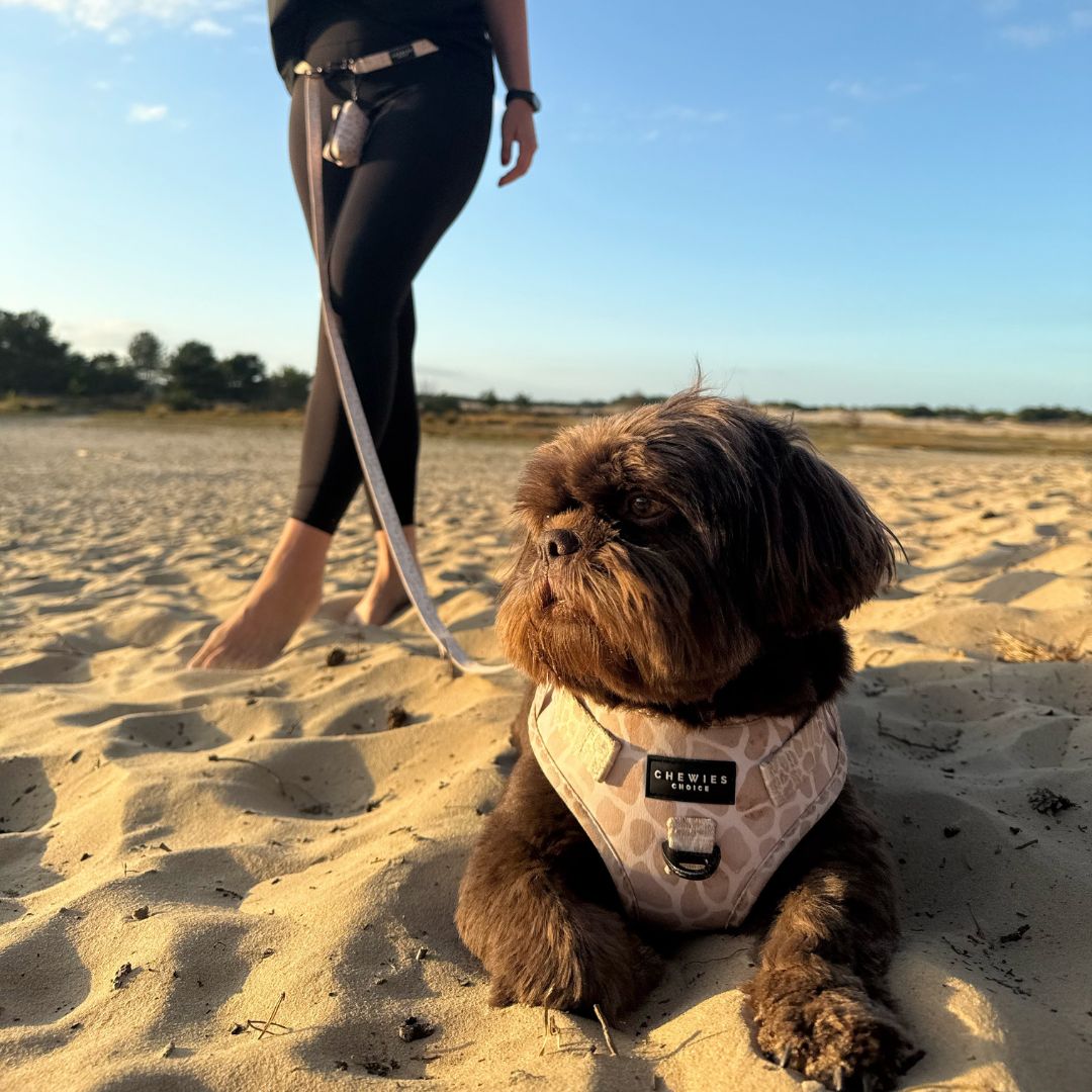 Handsfree Hondenriem - Savanna Stroll