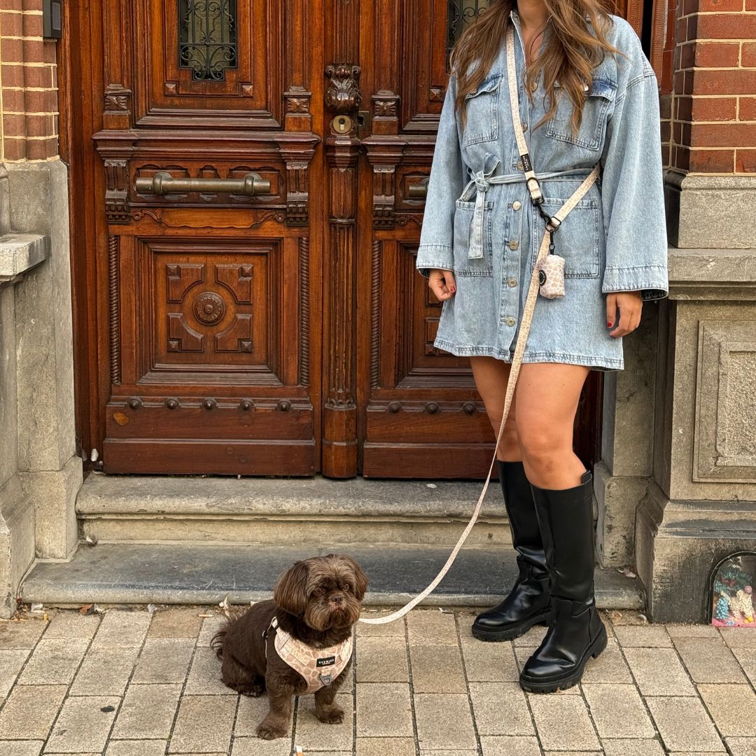 Handsfree Hondenriem - Savanna Stroll