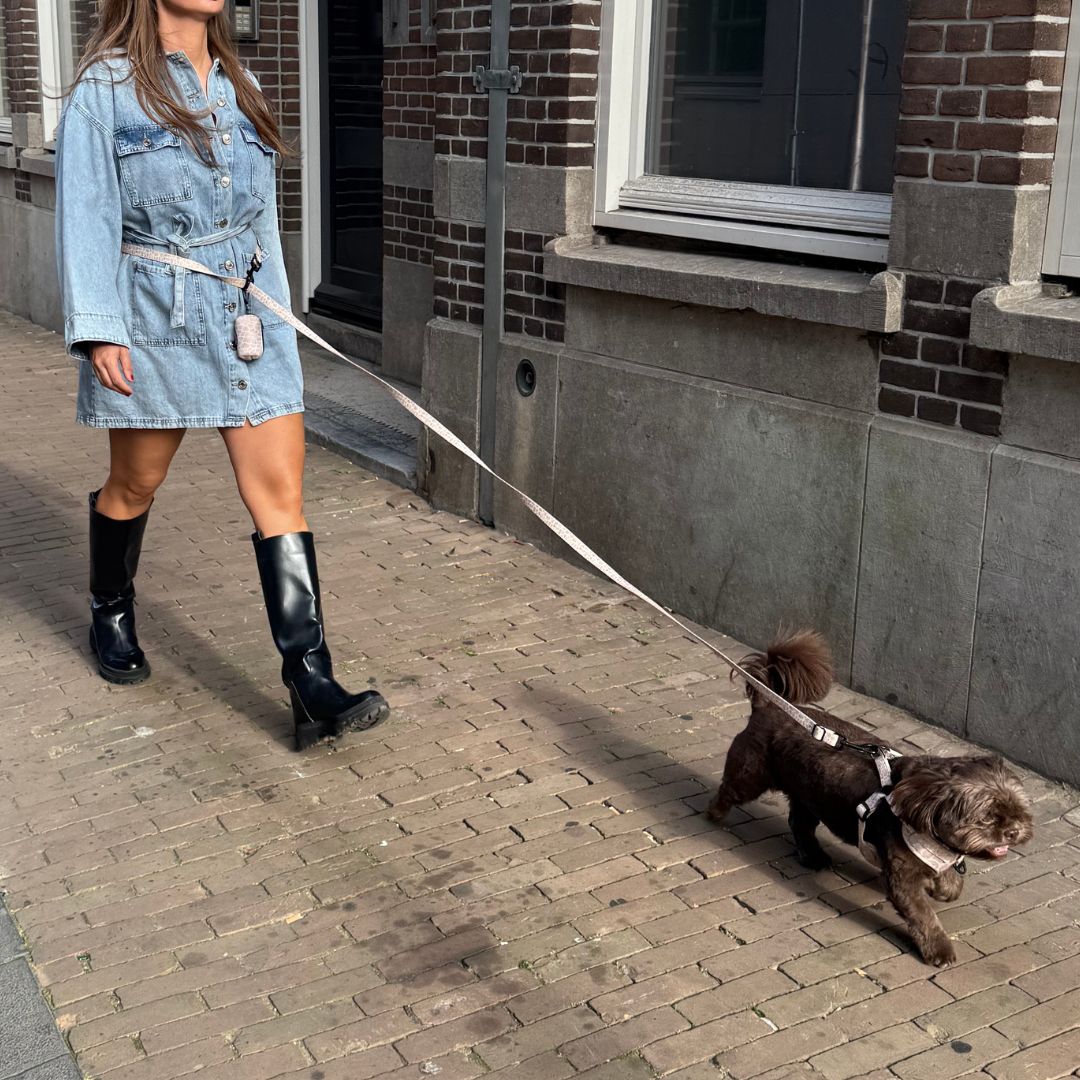 Handsfree Hondenriem - Savanna Stroll