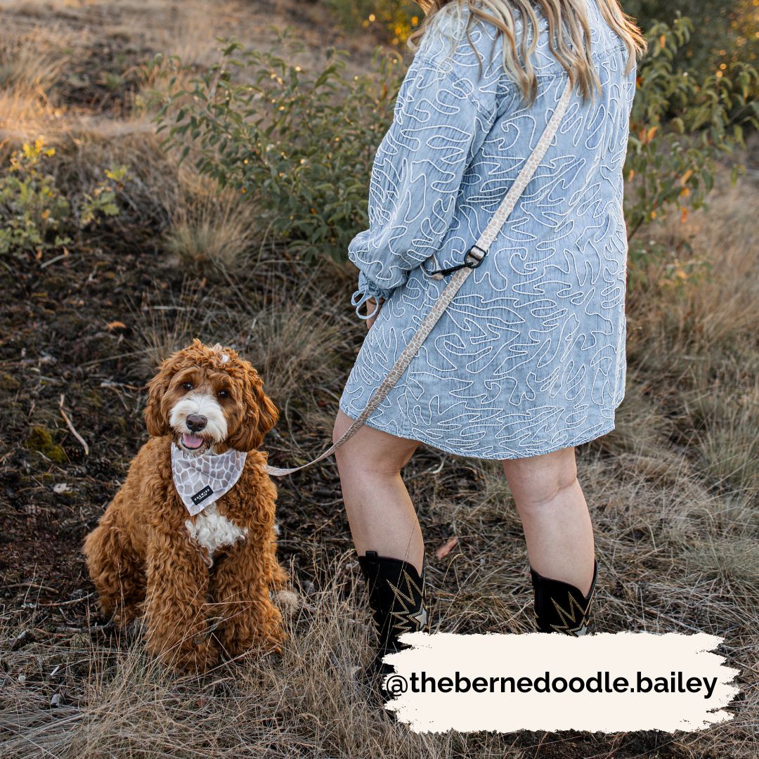 Handsfree Hondenriem - Savanna Stroll