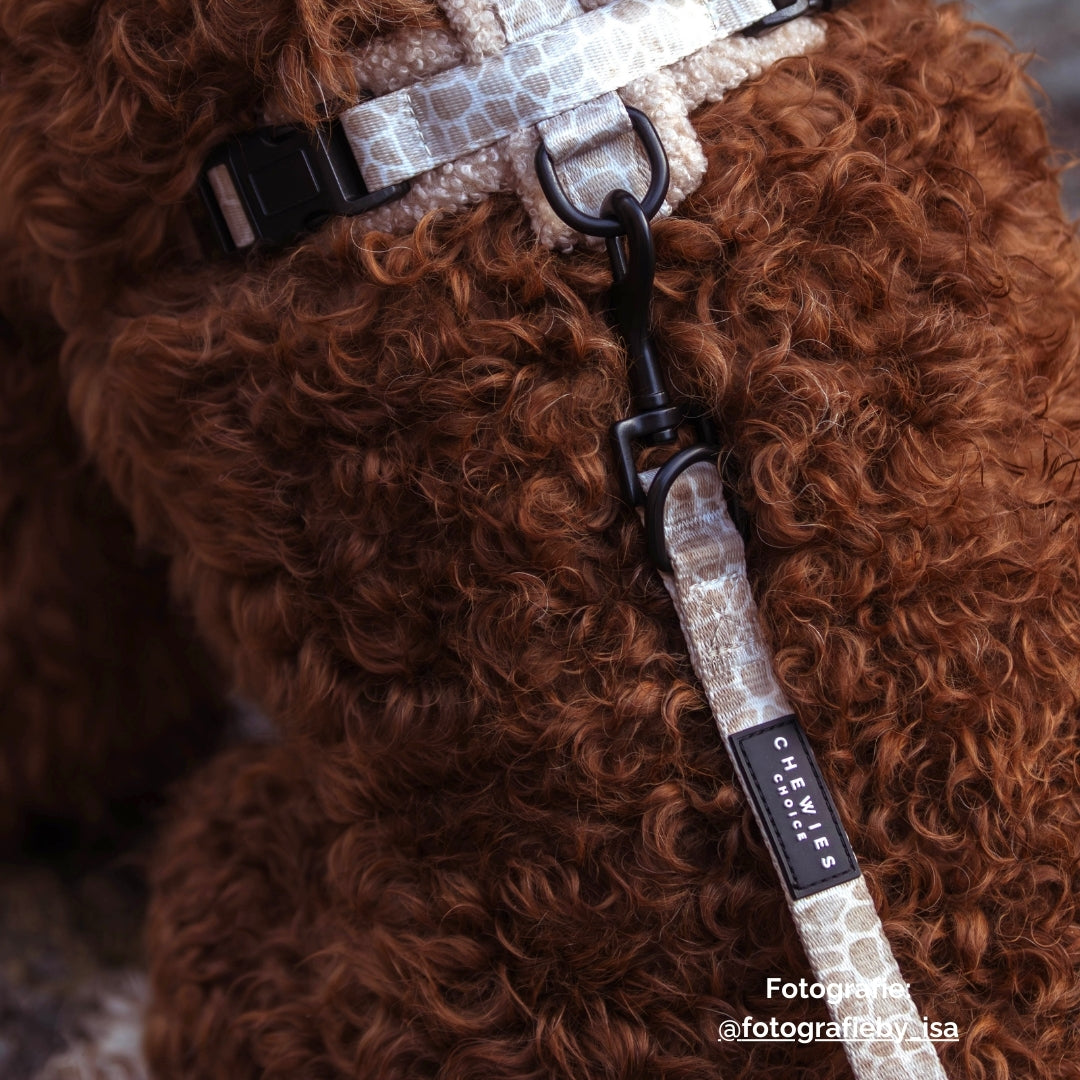 Hands-free Dog Leash Savanna Stroll