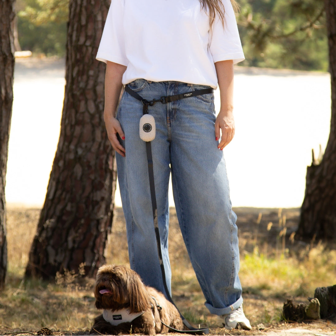 Hands-free Dog Leash Cruise Control