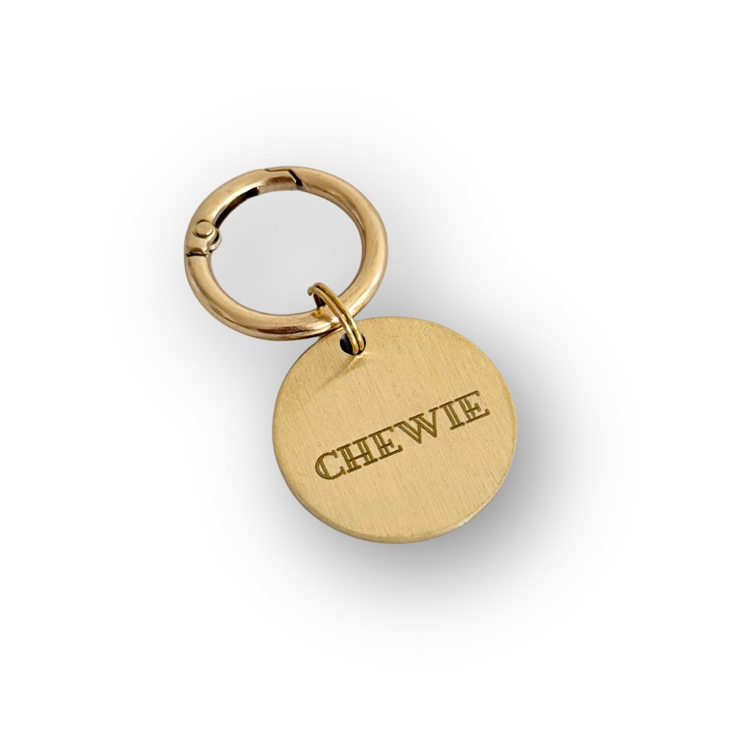 hondenpenning met naam