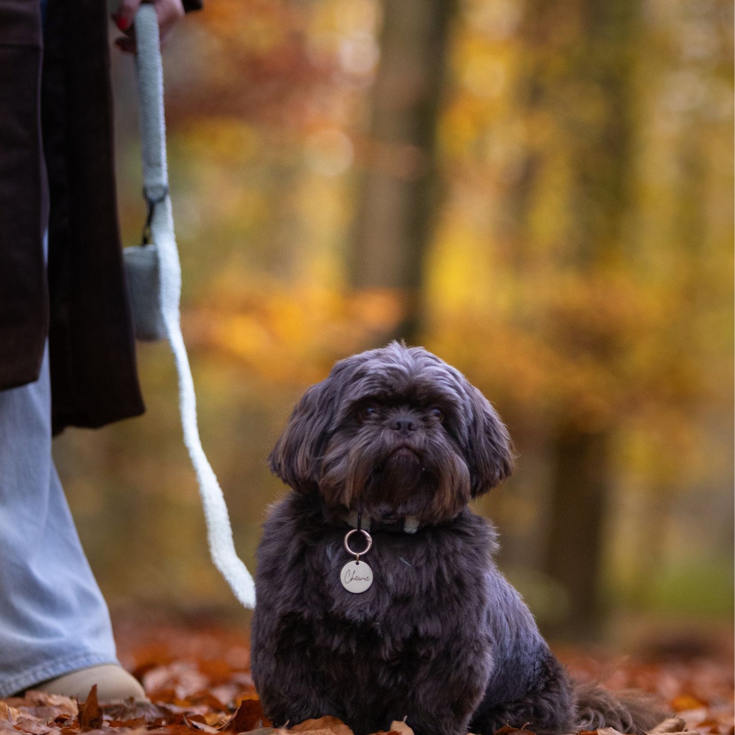 Hondenpenning - Naam