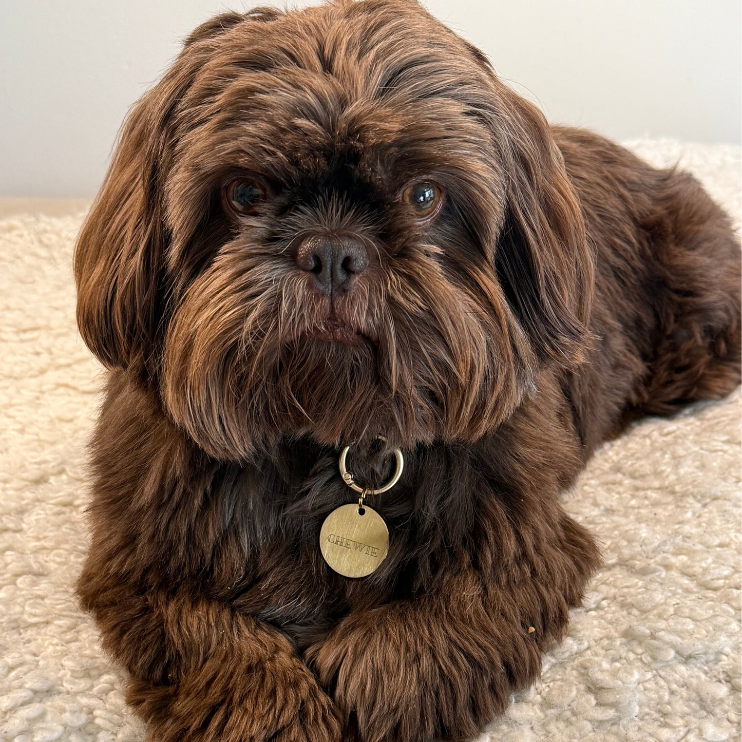 Hondenpenning - Naam