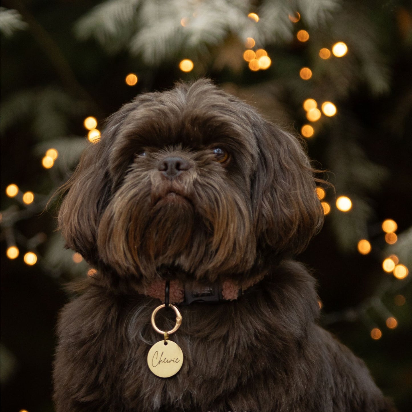 Halsband - Cosy Rosy