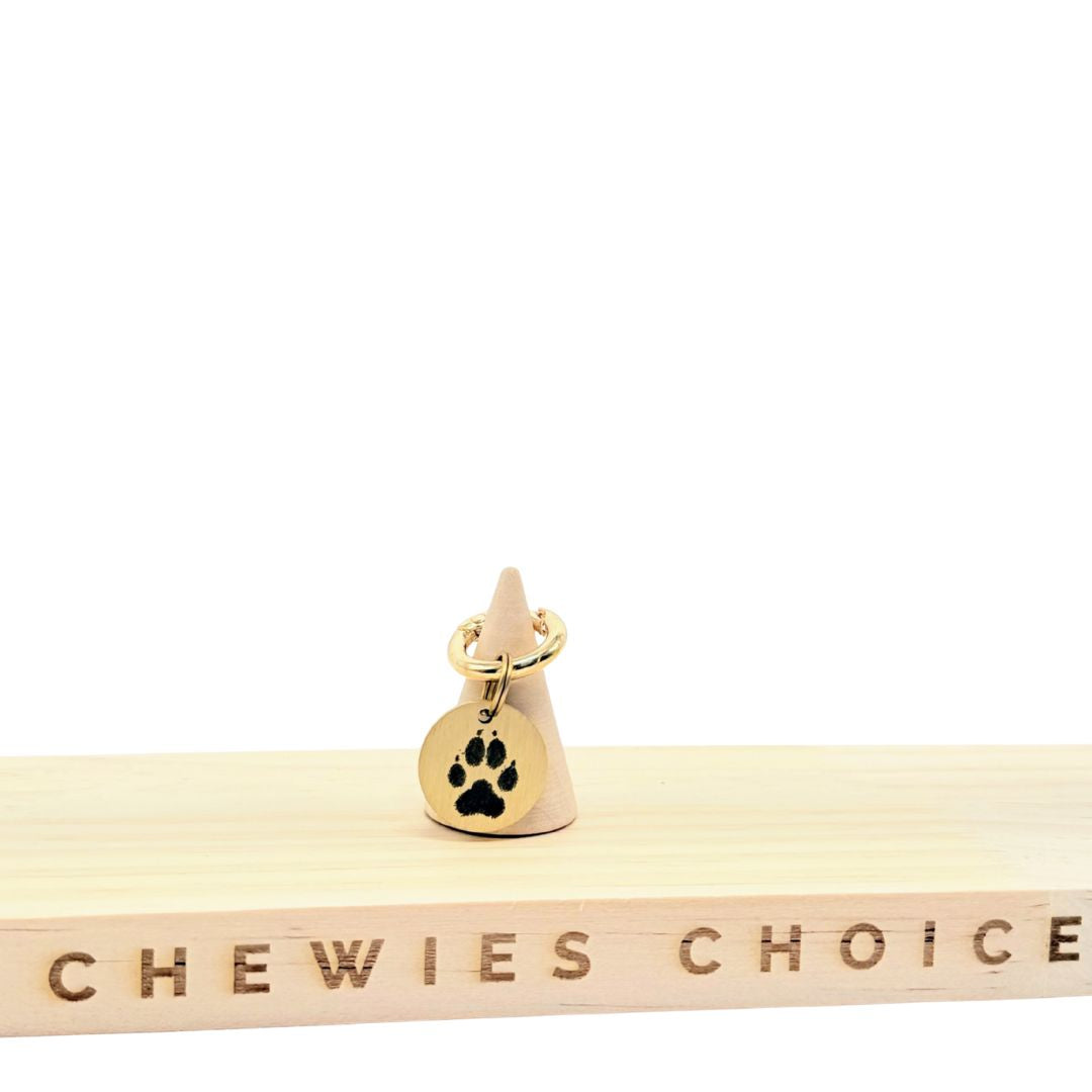 Hondenpenning - Naam + Pootafdruk (3cm)