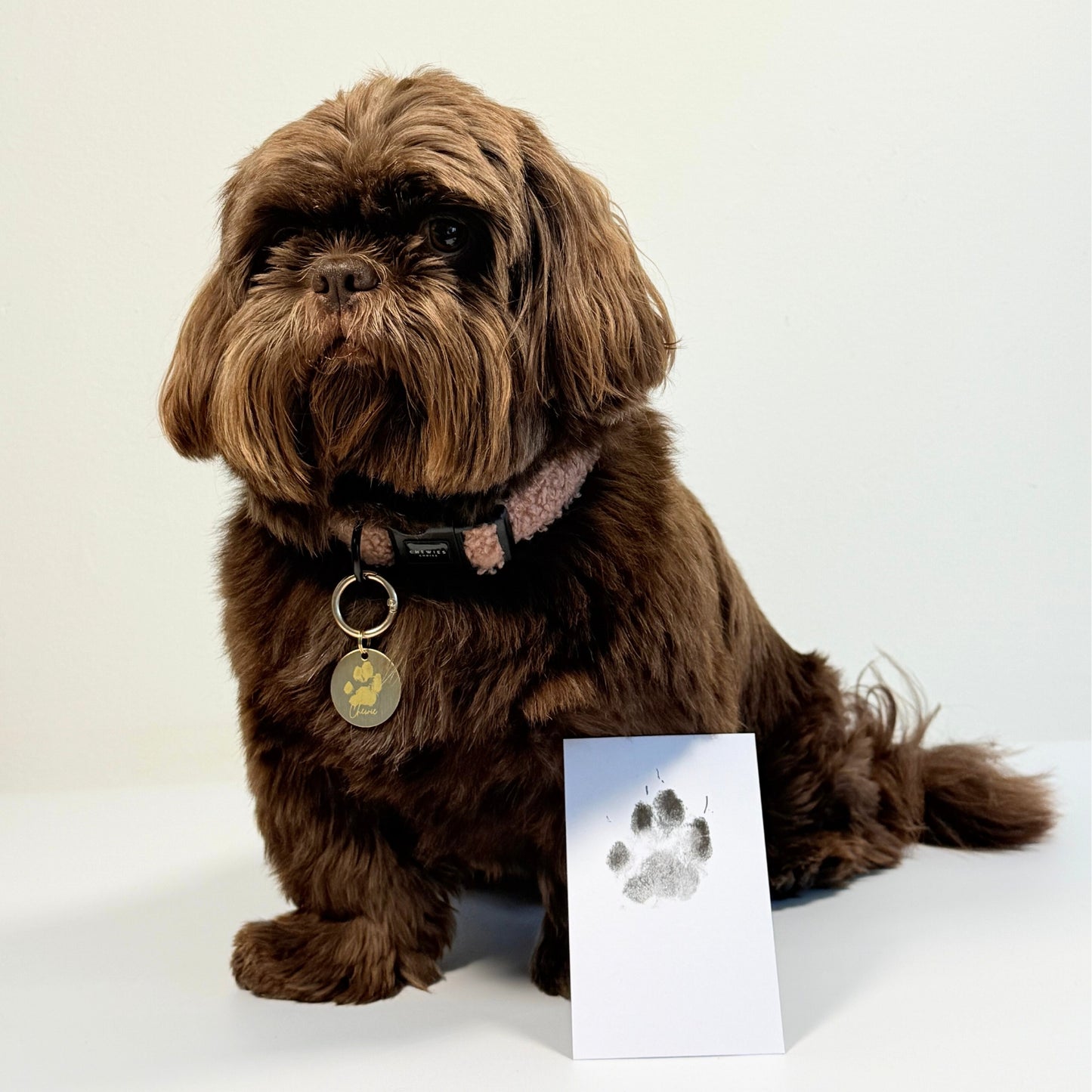 Hondenpenning - Naam + Pootafdruk