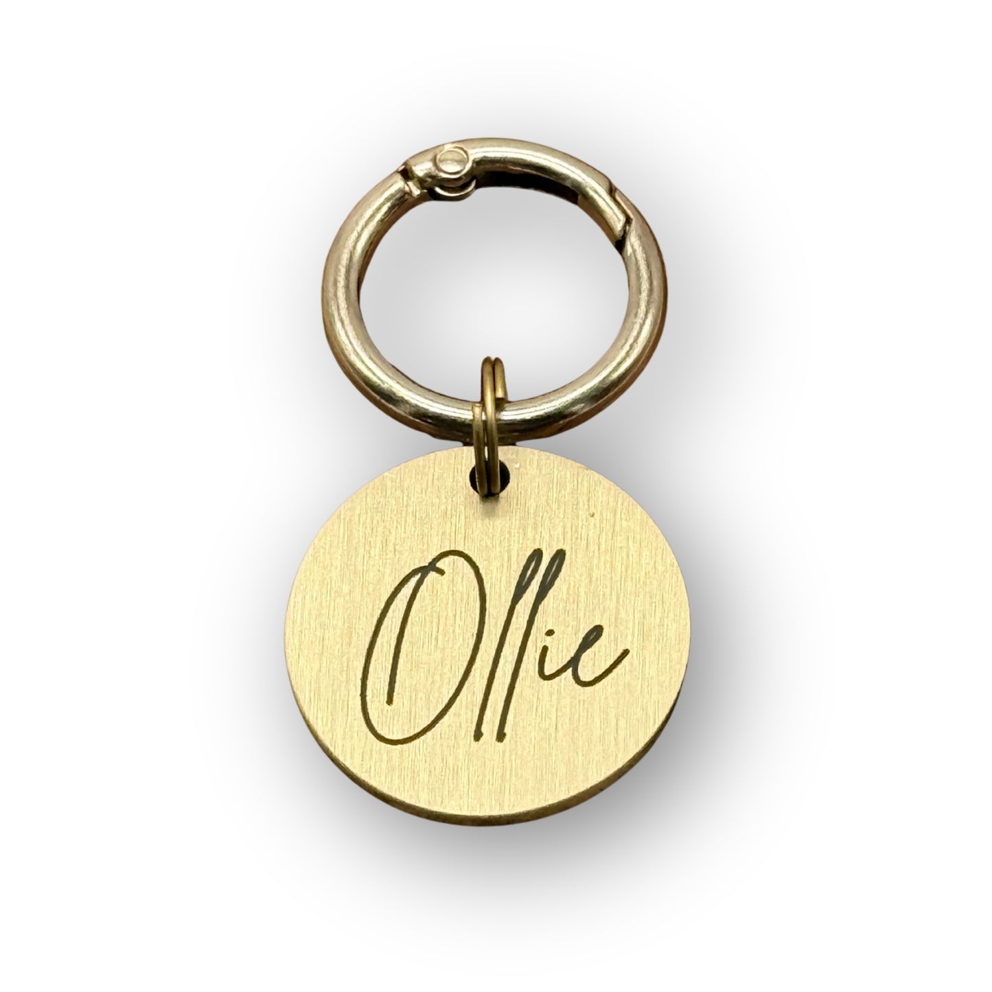 hondenpenning met naam