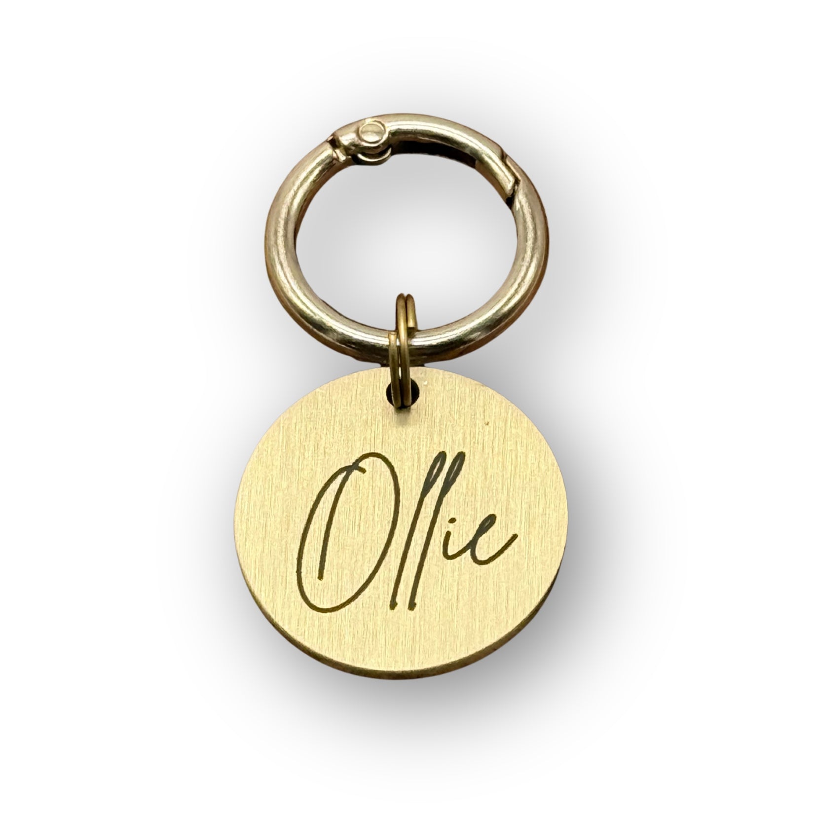 hondenpenning met naam