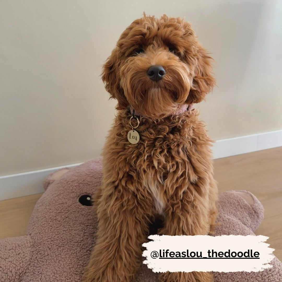 Dog Tag - Name + Paw Print