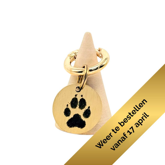 Dog Tag - Name + Paw Print (Small)