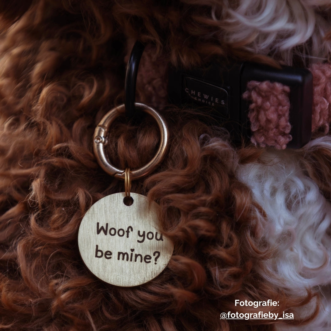 Hondenpenning met tekst