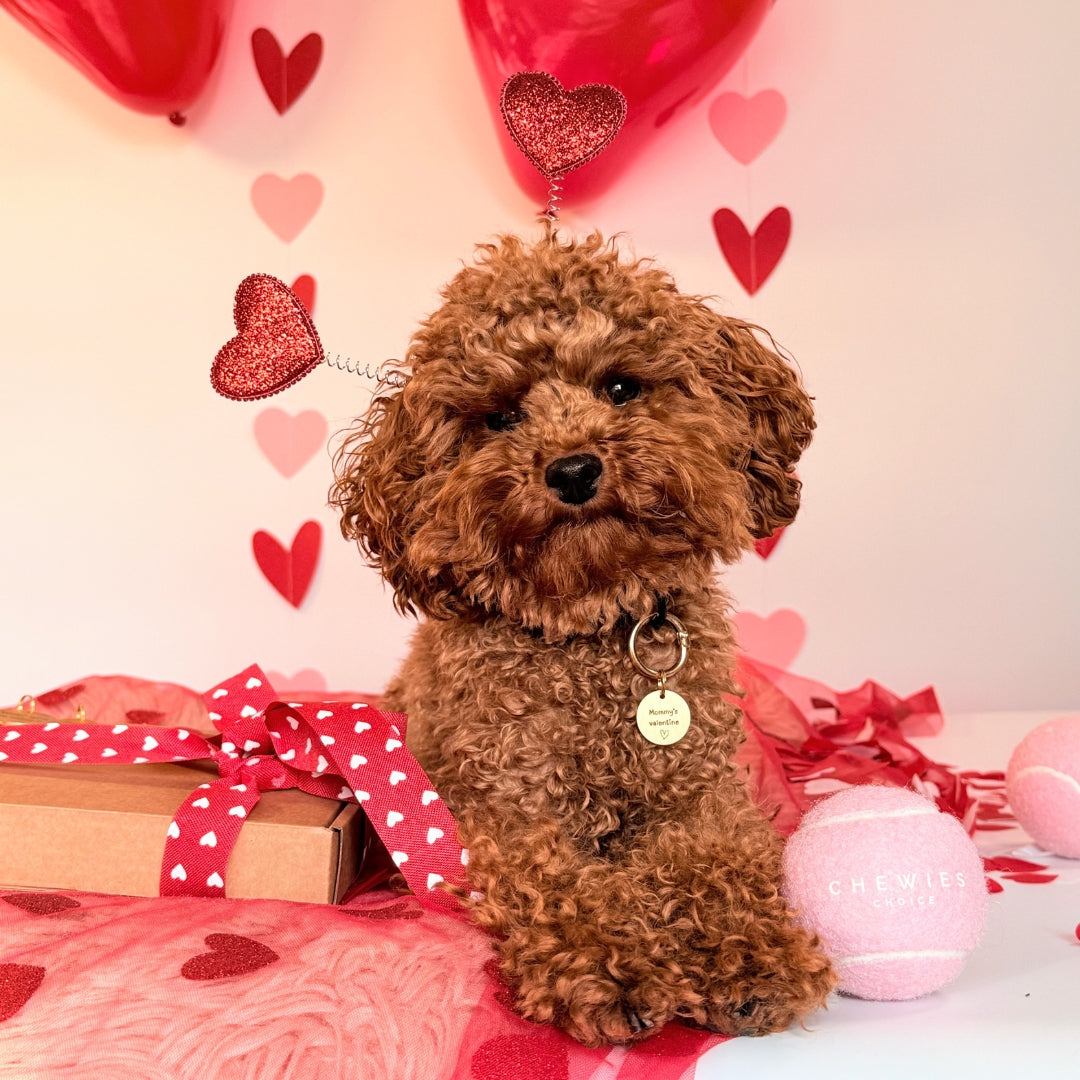 Hondenpenning met tekst