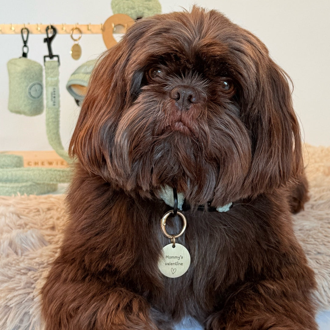 Hondenpenning met tekst