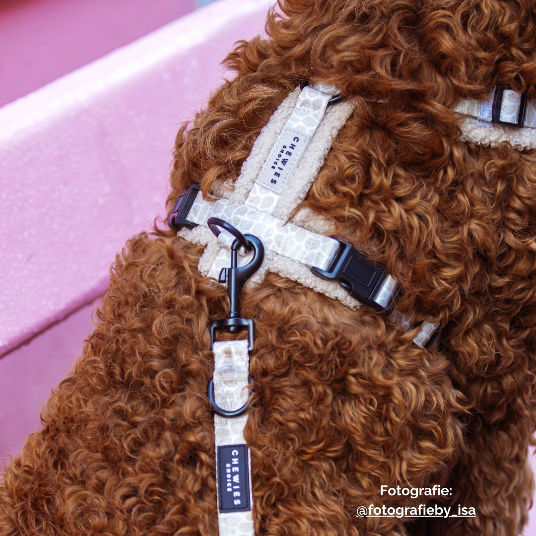 Wandelset - Snug & Stroll Handsfree