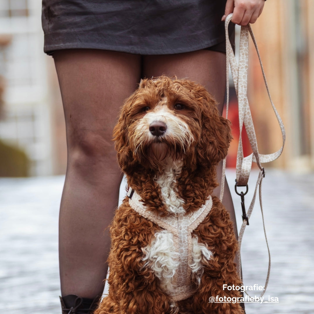 Wandelset - Snug & Stroll Handsfree