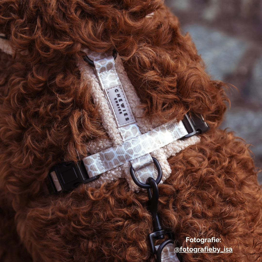 Dog Harness - Savanna Snug