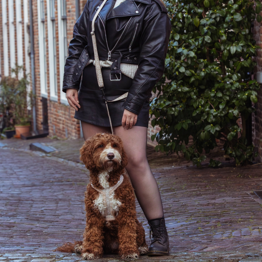 Hands-free Dog Leash Savanna Stroll