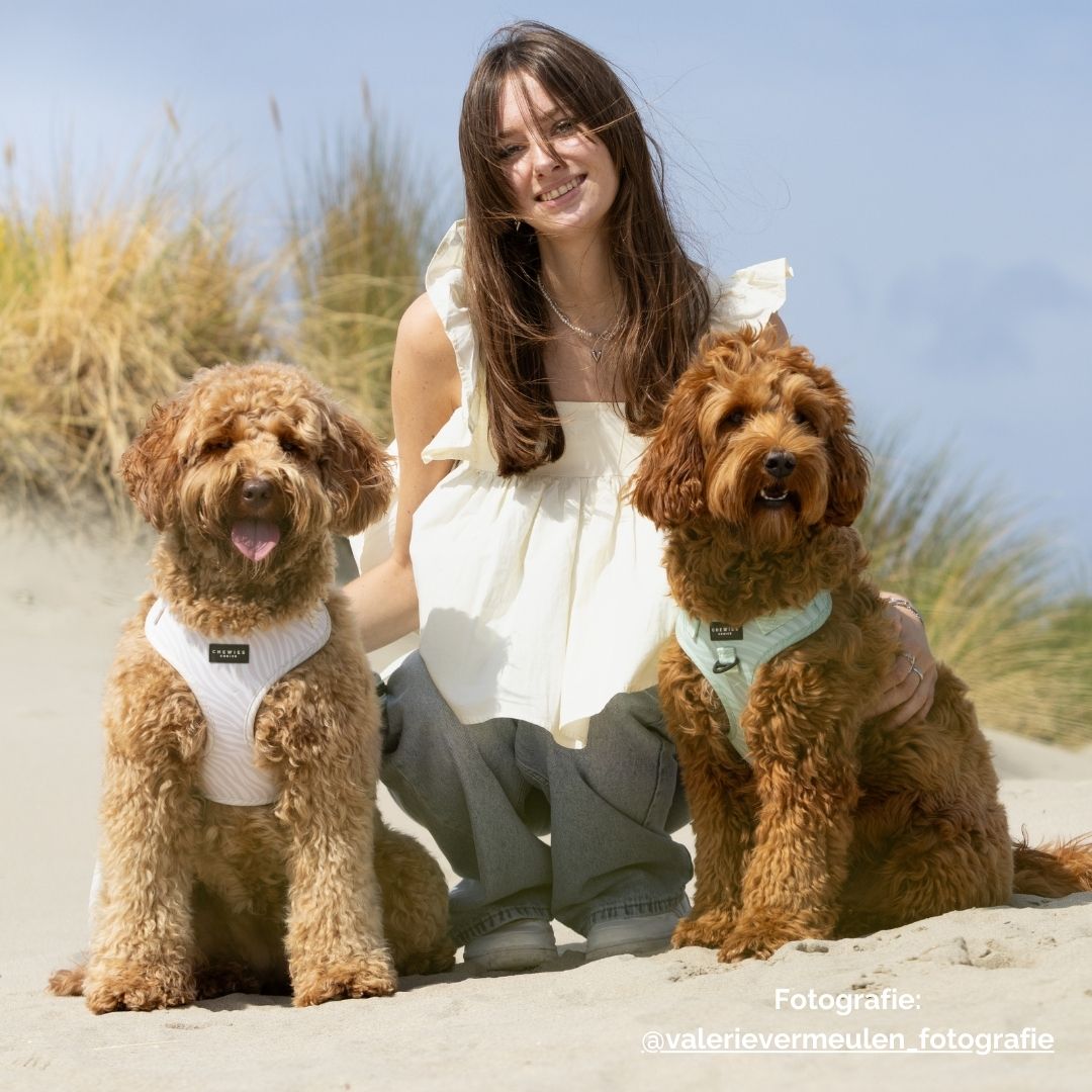 Wandelset - Desert Dream