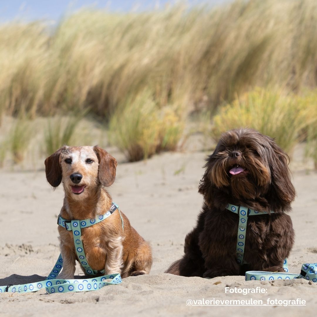 Wandelset - All Eyez On Me