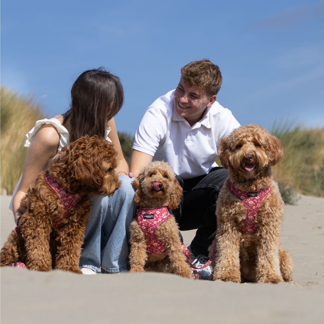 Wandelset - FlowerPup