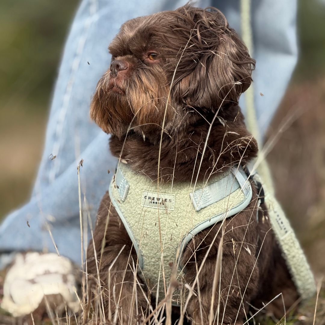 Wandelset - Snuggly Sage