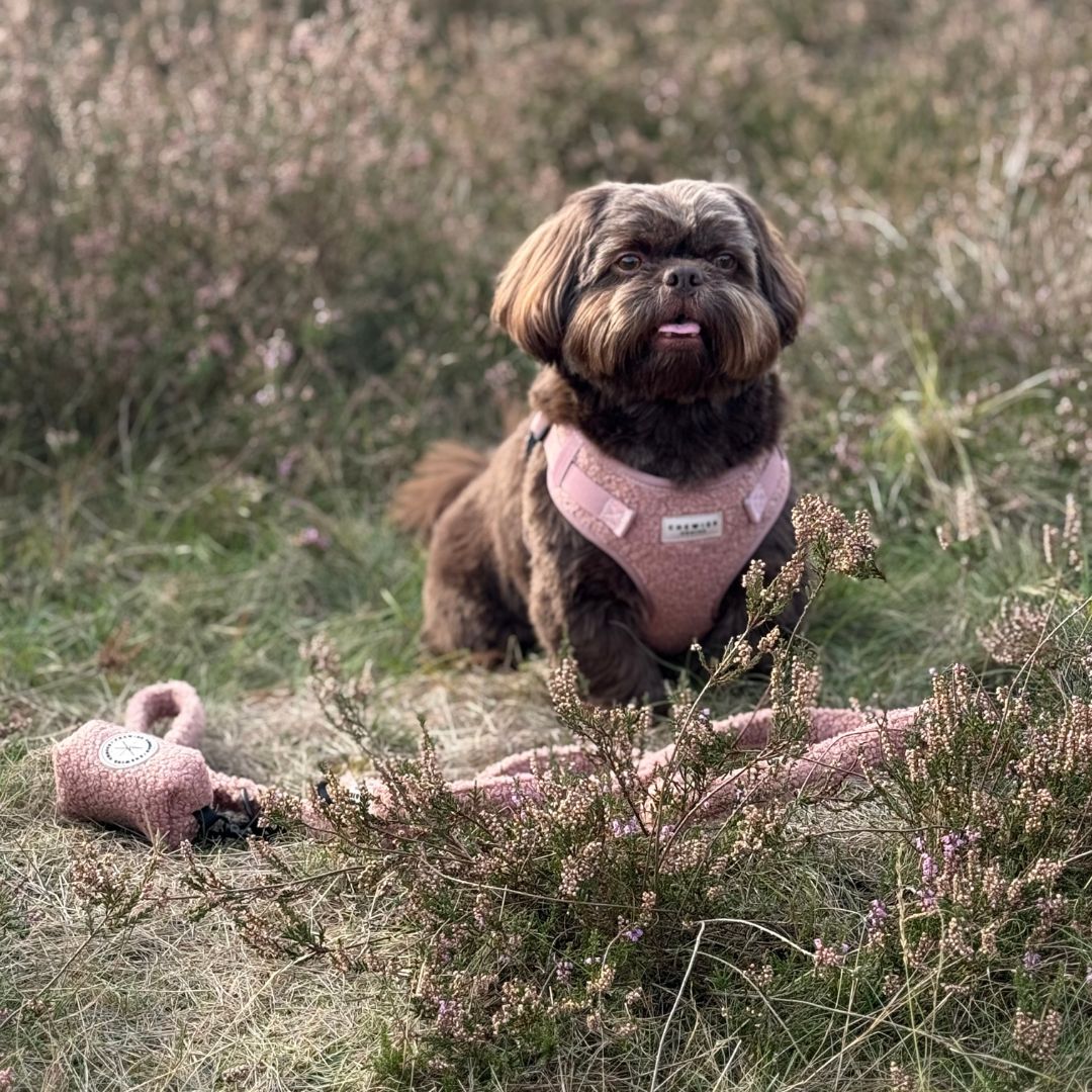 Wandelset - Cosy Rosy